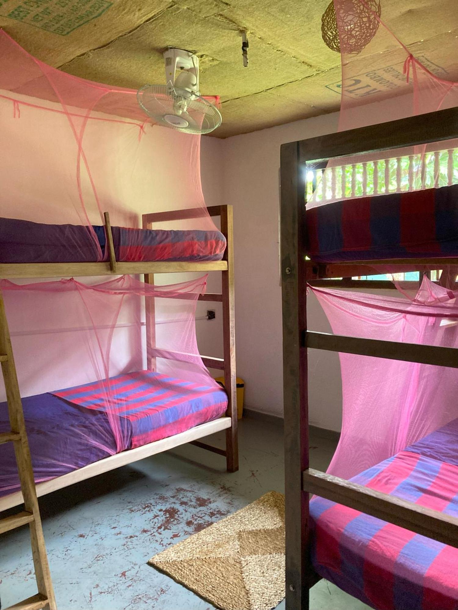 Hostel Singha Lounge 乌纳瓦图纳 外观 照片